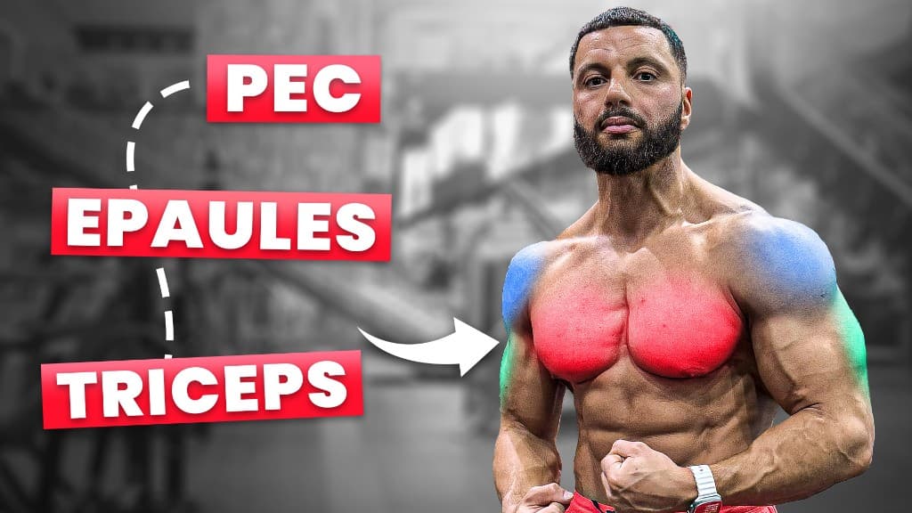 Miniature Pec Épaules Triceps